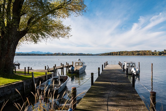 尔卡拉斯这 尔卡拉斯这