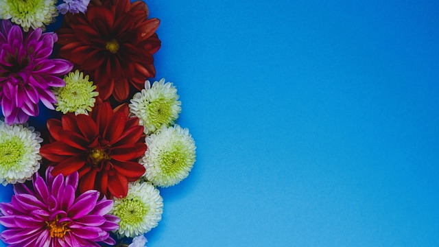 動作系列 動作系列