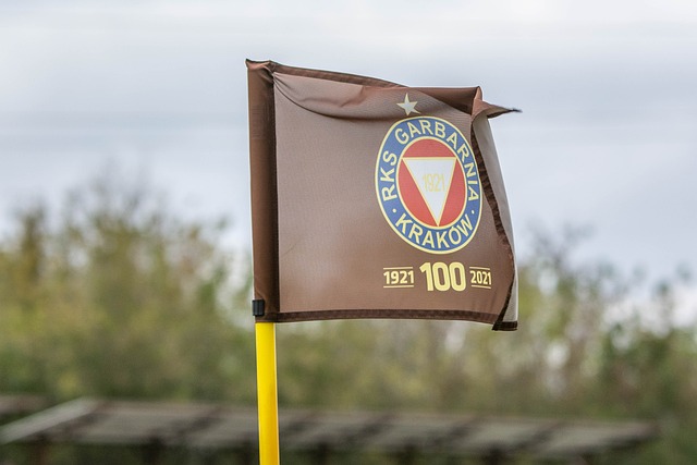 他总是能带 他总是能带