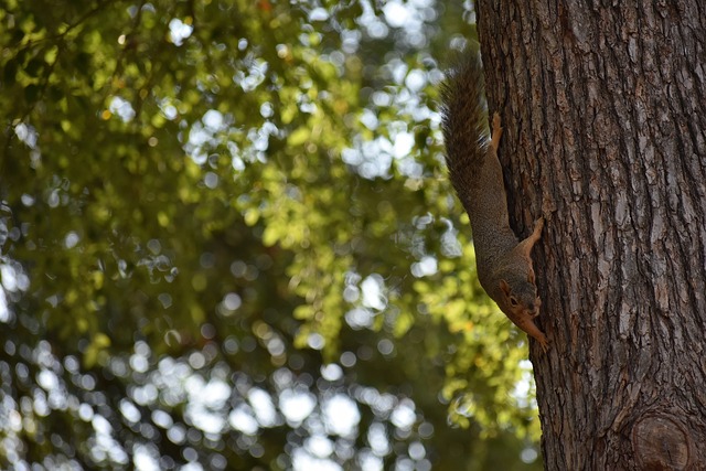 的征途中 的征途中