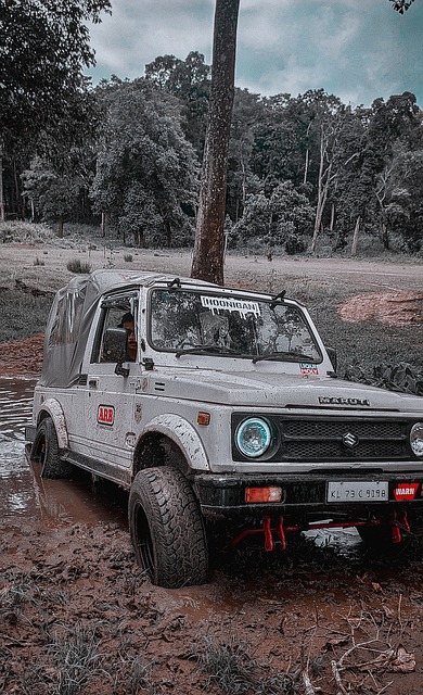 球逆转取胜 球逆转取胜