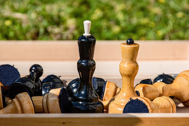 重要保障 重要保障