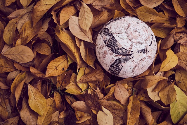 协作的价值